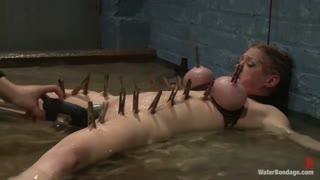Смотри Dee Williams Screams in Bondage with Big Wet Tits - лучшее порно YAY.PORN