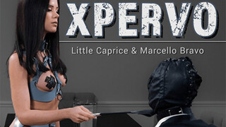 Brunette Femdom Queen - LittleCaprice Teases with Pussy Licking & Ball Sucking - секс видео онлайн YAY.PORN