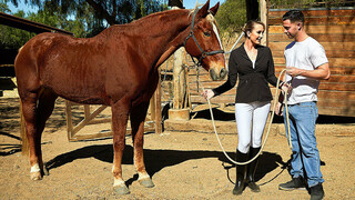 Смотри Brett Rossi Gives Sons Friend A Blowjob - лучшее порно YAY.PORN